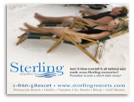 custom website designs beach