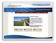 custom website designs financial