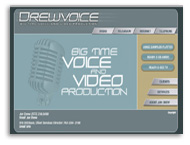 custom website design services